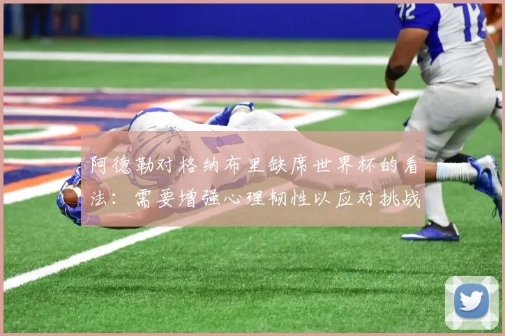 阿德勒对格纳布里缺席世界杯的看法：需要增强心理韧性以应对挑战