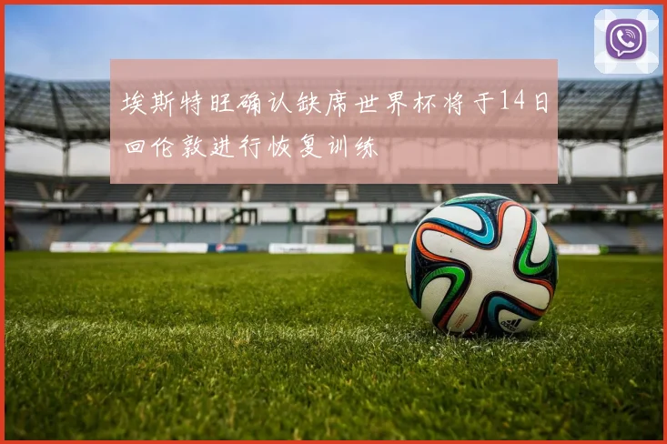 埃斯特旺确认缺席世界杯将于14日回伦敦进行恢复训练