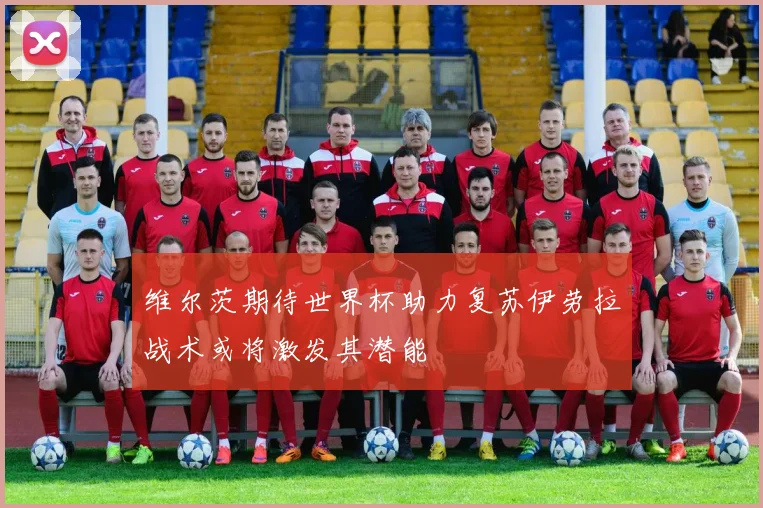 维尔茨期待世界杯助力复苏伊劳拉战术或将激发其潜能