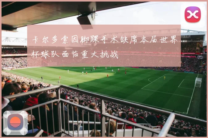 卡尔多索因脚踝手术缺席本届世界杯球队面临重大挑战